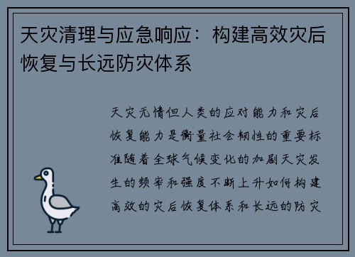 天灾清理与应急响应：构建高效灾后恢复与长远防灾体系
